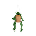 Greenhouse by Russ 8-Inch Hanging Plant with Flowers Plush - 5