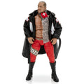 Ring of Honor Claudio Castagnoli - 14