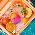 Squishmallows Whisked Away Tropical Sunset Limited Edition - 4