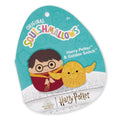 12-Inch Harry Potter and 4-Inch Golden Snitch 2-Pack - 2