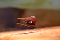 STAR WARS™ Micro Galaxy Squadron Geonosian Starfighter - 8