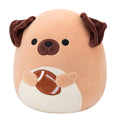 14-Inch Daryl the Brown Dog Holding Football - 2