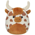 Alonzo the Brown Spotted Highland Cow - 1