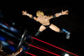 Ring of Honor Kenny Omega - 5