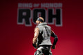 Ring of Honor 6-Inch Mark Briscoe Figure - 4