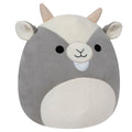 12-Inch Walker the Goat - 5