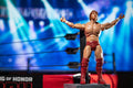 Ring of Honor Bryan Danielson - 6