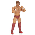 Ring of Honor Bryan Danielson - 18
