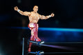 Ring of Honor Bryan Danielson - 7