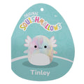 11-Inch Tinley the Rainbow Tie-Dye Axolotl - 6