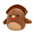 8-Inch and 3.5-Inch Terry the Turkey 2-Pack - 3