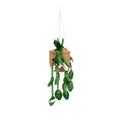 Greenhouse by Russ 8-Inch Hanging Plant with Flowers Plush - 4