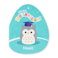 12-Inch Hoot the Grey Owl in Graduation Cap - 5