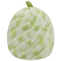 8-Inch Francois the Cantaloupe - 4